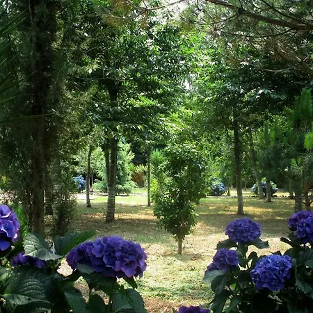 Quinta Outeiro Da Luz Semesterpark *