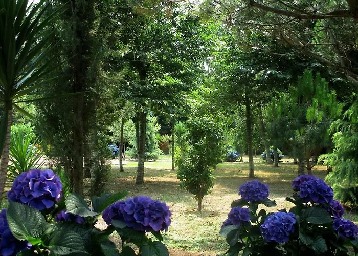 Quinta Outeiro Da Luz База отдыха *